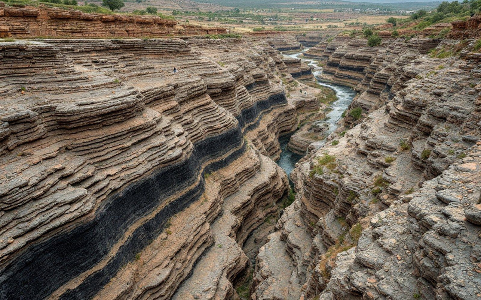 A deep road cut through thick horizontal rock beds with a dark band visible partway up the face